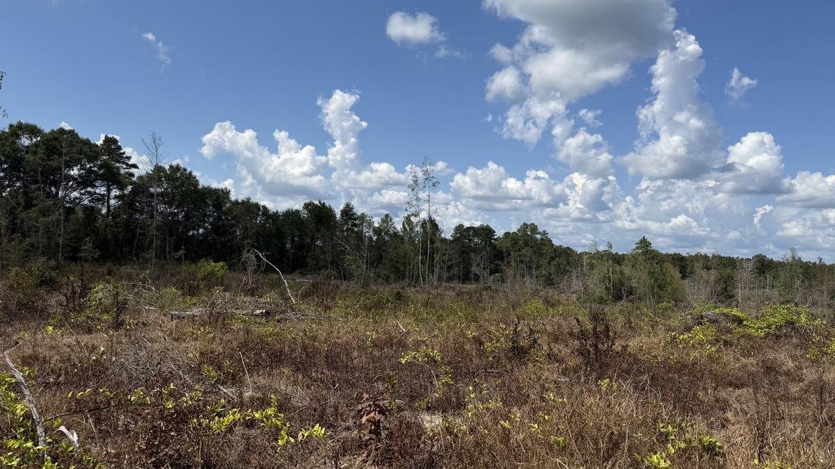 Monroe Co. +/-41 acres