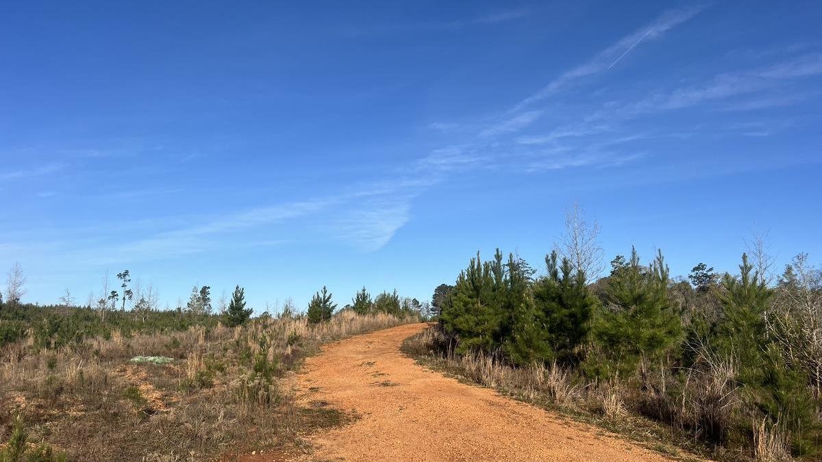 Monroe County +/-97 acres