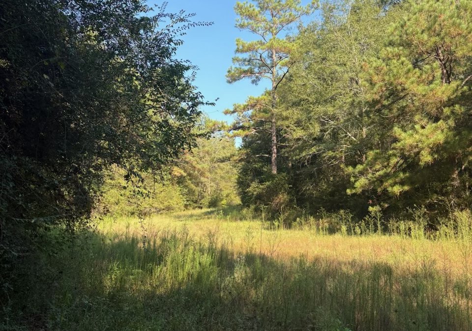 Autauga Co 244
