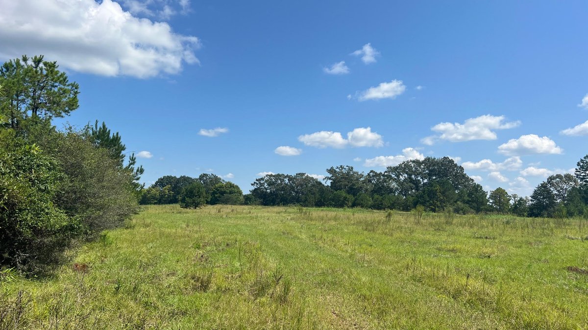Autauga Co +/-129.47 acres