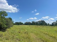 Autauga Co +/-129.47 acres