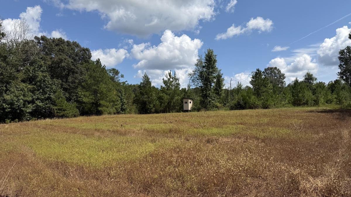 Monroe County +/-297 acres