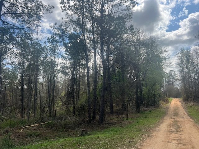 Monroe County +/-53 acres