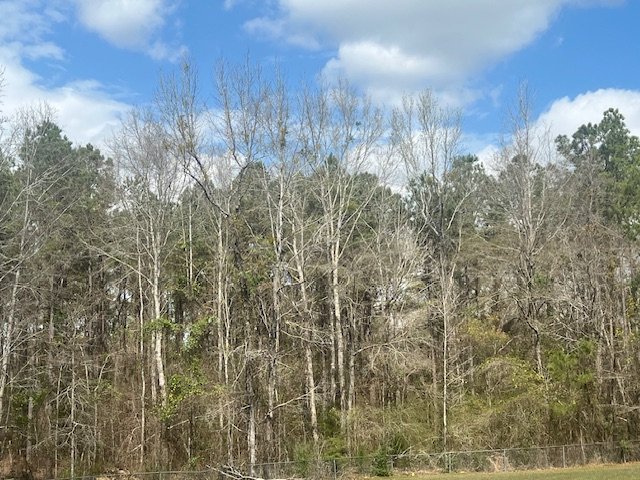 Monroe County +/-53 acres